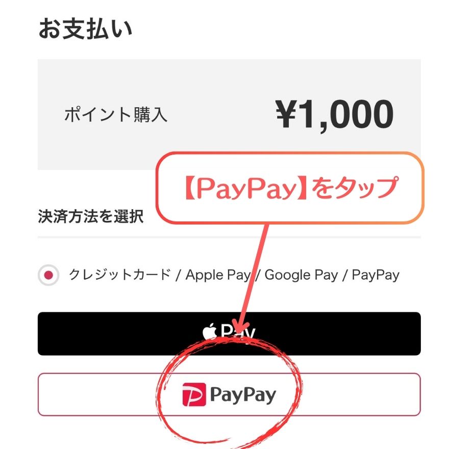 PayPay選択画面