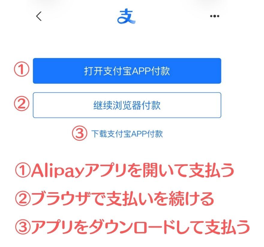 クローブオリパのAlipayアプリでの決済画面