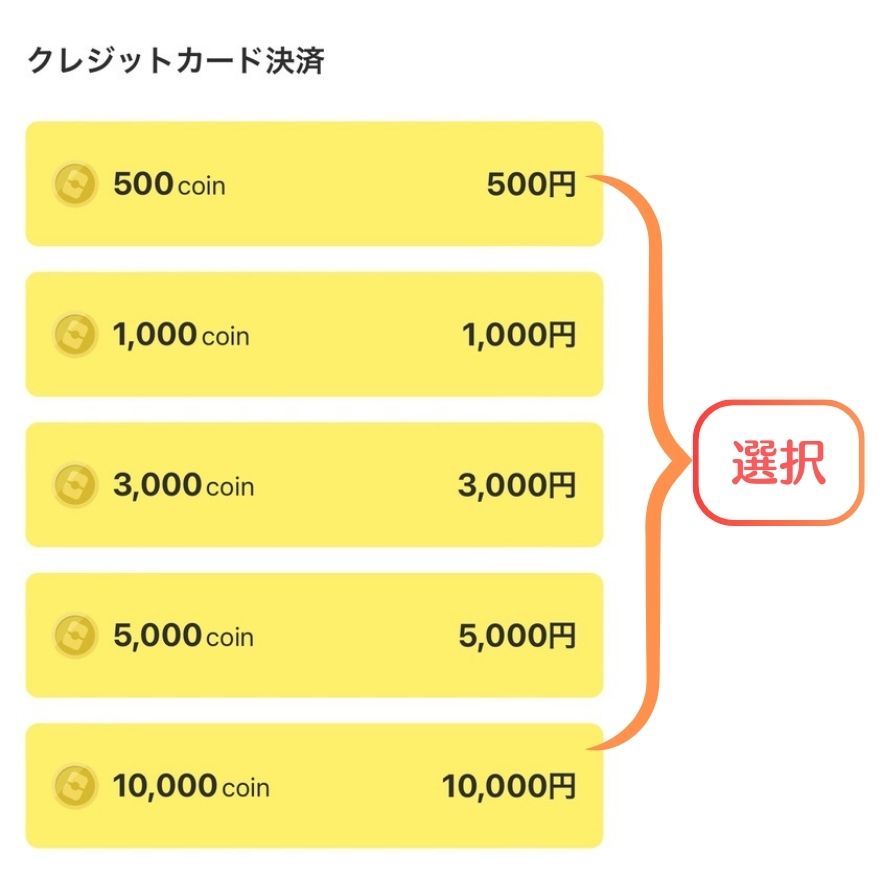 オリパワンクレジットカード支払い手順3