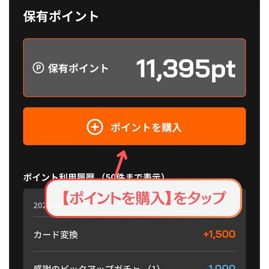 ALPHAオリパAmazonPay支払い手順2