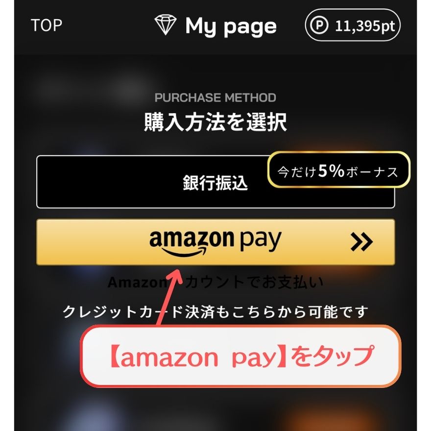 ALPHAオリパAmazonPay支払い手順4