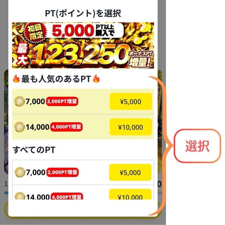 クレジットカード支払い手順2