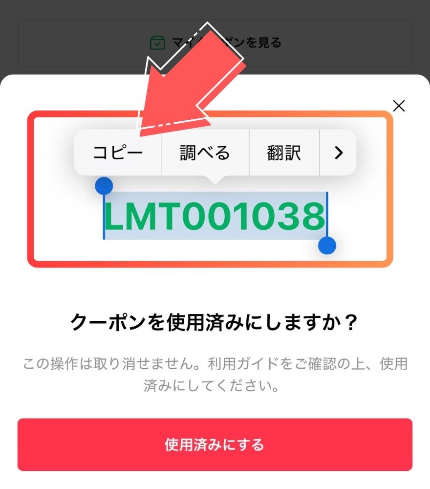 イチカオリパクーポンコード利用手順3