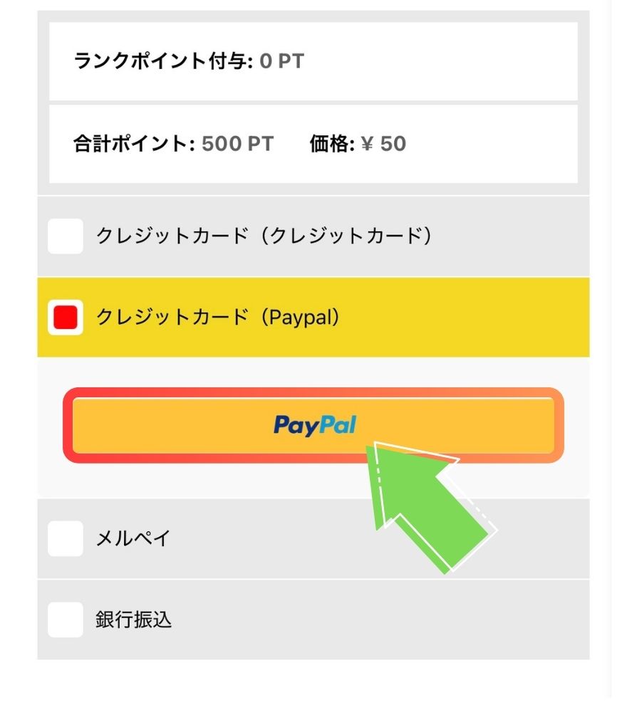 Paypalの支払い画面