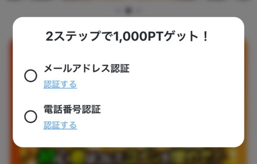 メール・電話番号の認証手順2