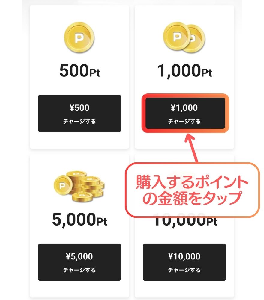 エクストレカのあと払い(ペイディ)支払い手順 STEP2