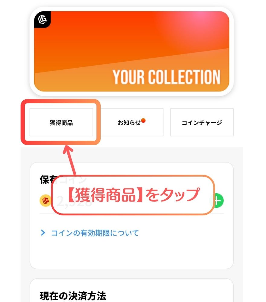 日本玩具センターオンラインの発送依頼手順3 獲得商品一覧